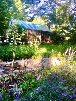 Our new green metal roof.