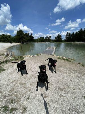 Dog park with dock, lake, and fountain