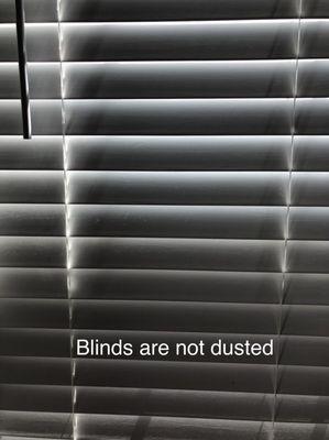 All the blinds were dusty still