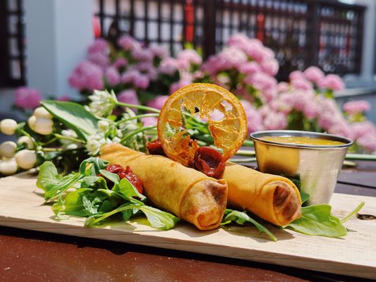 Farmer's Daughter Spring Rolls