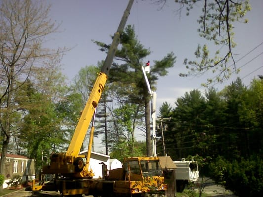 Removing huge tree on top of the small house. Rockingham rd, Derry NH.