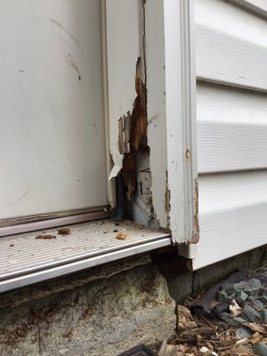 Rotted moulding around front or rear doors? We can fix that too!