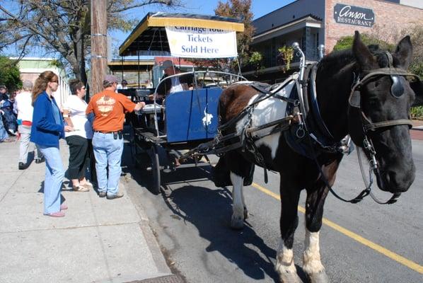 A Carriage Ride with Carolina Polo and Carriages is an excellent idea