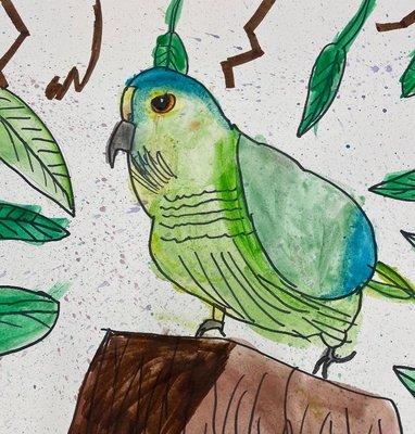 Watercolor tropical bird painting from 7-year-old.