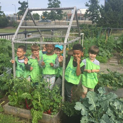 Tending the HCS community garden plot.