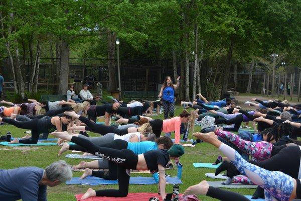 Catty Shack Ranch "Yoga with the Tigers" Fundraiser.