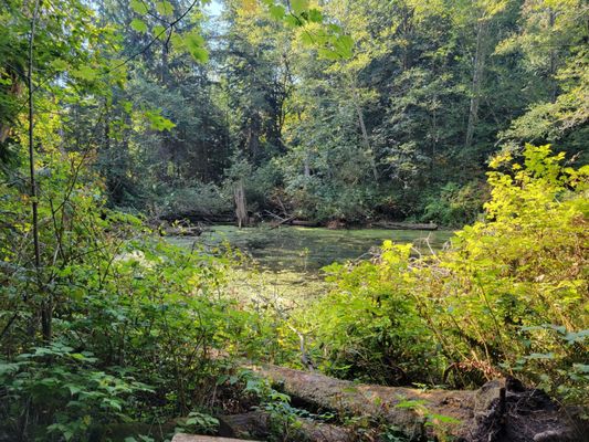 Deering Wild Flower Acres