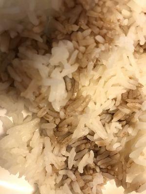 White rice with soy sauce