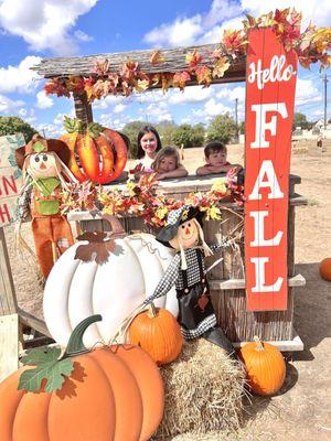 The magic pumpkin seeds were so much fun