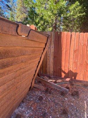 The backyard fence