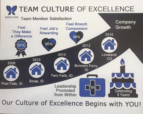 Team Culture of Excellence