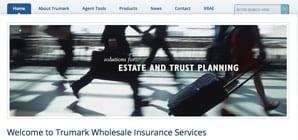 Trumark Financial website design and development.