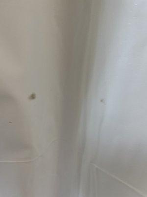 MOLD in n the shower curtain!!!