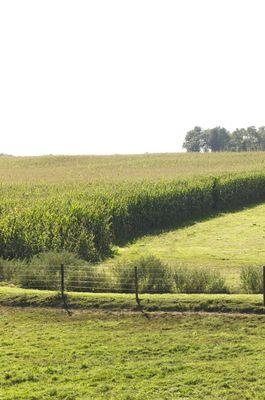 Field with Hi Tensile Fencing