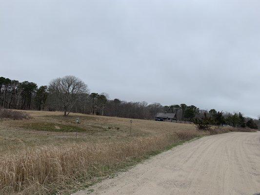 Main road towards parking lot. ( Building is Fern & Feather Preschool)