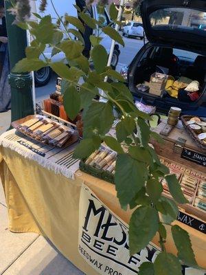 My new plant from vendor City Roots- Agastache Foeniculum. Hope my usual brown thumb doesn't kill it!