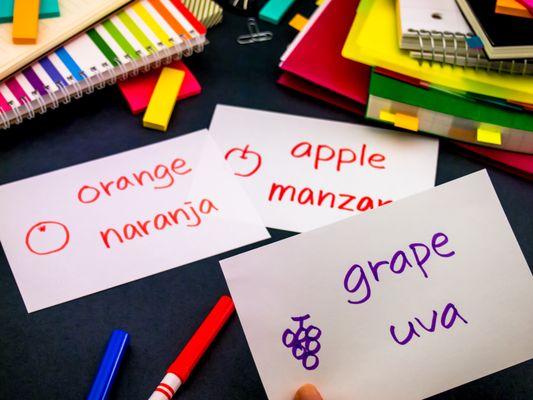 Spanish curriculum that encourages bilingual children