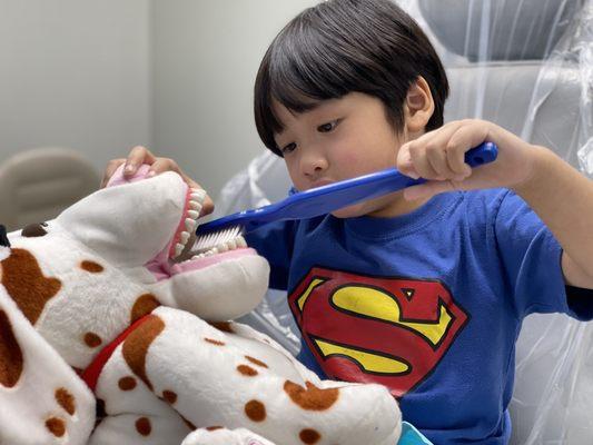 Our 4 year old David helping this doggie brush his teeth.