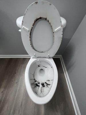 Before picture of toilet that needed to be