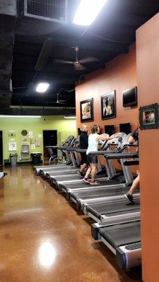 Many treadmills to choose from