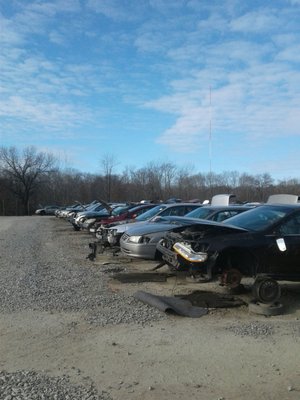 Row of foreign cars - happy hunting!