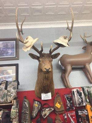 Texas hat rack!