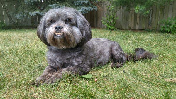 Jack, our senior office greeter!