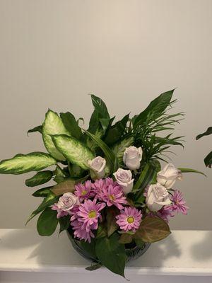 Mixed Planter Roses and Daisies