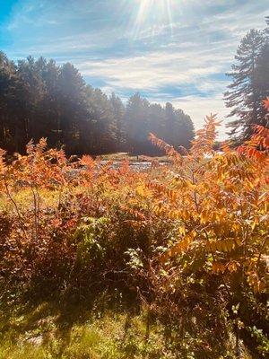 The fall is so beautiful at the res, my son fishes almost daily during season.