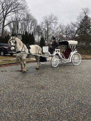 New Freedom Horse Drawn Carriages