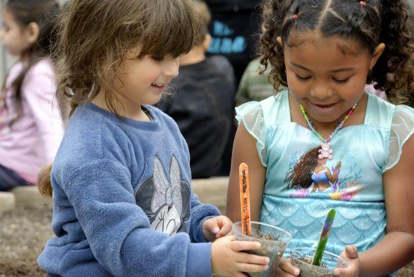 ECS Castle Park Head Start