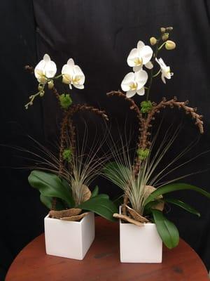 Matching single orchid arrangements $65 each