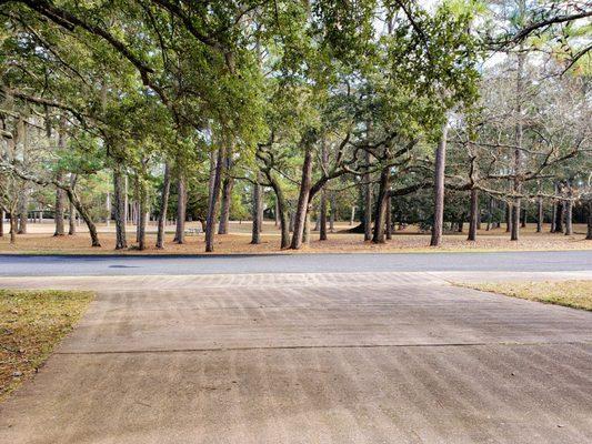 Grounds at Ft. Raleigh National Historic Site