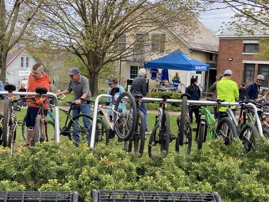 Frog Hollow Bikes