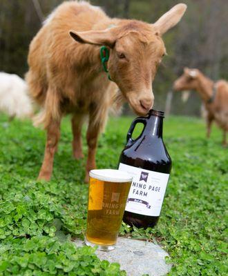 Small batch brewery and beer garden overlooking goat pasture.