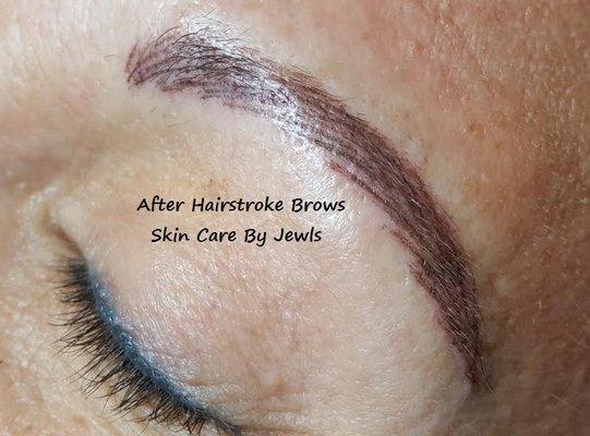 Lakewood Ranch Permanent Makeup - Hairstroke Brows