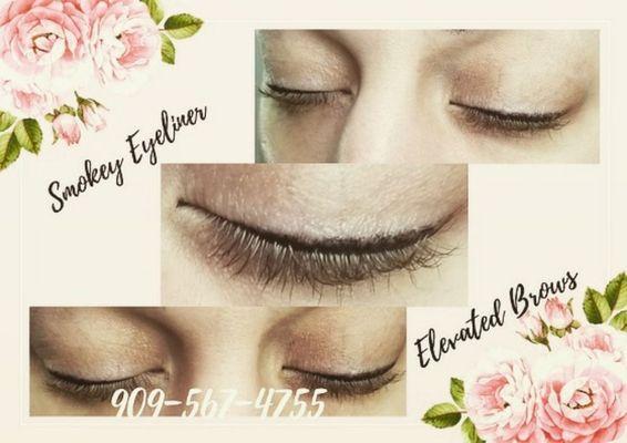 Elevated Brows