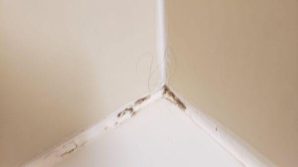 Mold and hair in the tub/shower unit.