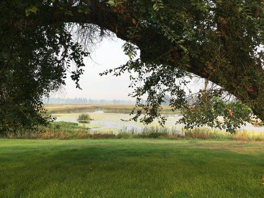 Beautiful view by the visitor center