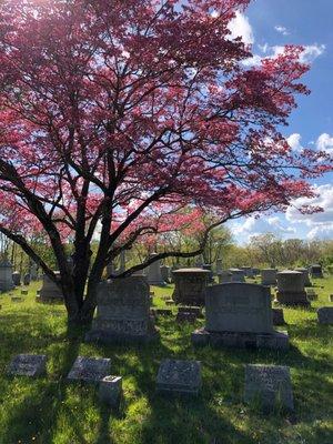 Yantic Cemetery