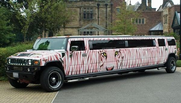 Tiger Hummer Limo