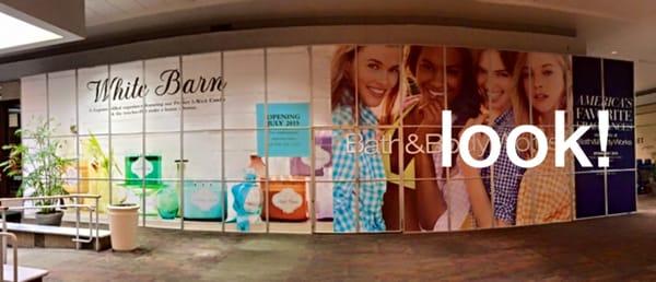 Asheville Mall partition graphics