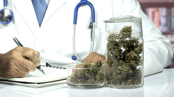 Medical Marijuana Doctor in Jacksonville, Florida