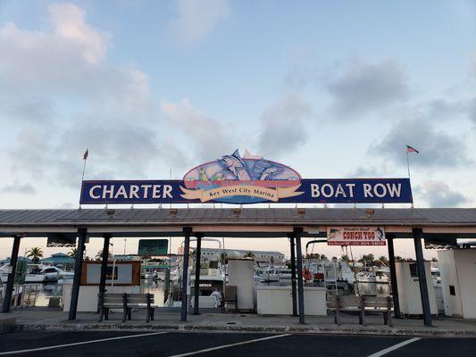 Historic Charter Boat Row 1801 N Roosevelt Blvd Amberjack Pier Slip 25 Key West Florida  Maritime Co - Sea Rebel GradyWhite Canyon 376