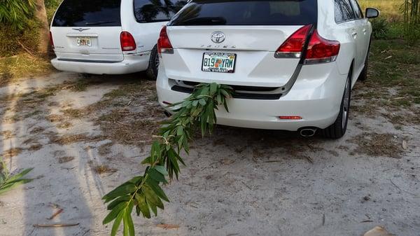 They will pack up your bamboo for a safe drive