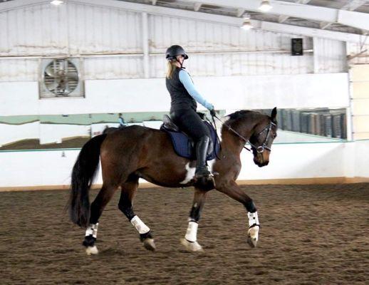 Valley View Equestrian Center