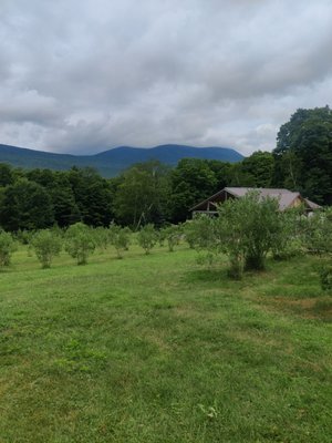 Wildwood Berry Farm