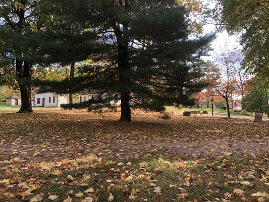 View from a park bench