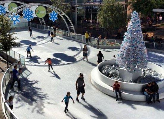 Ice-scaping in Granger, Indiana