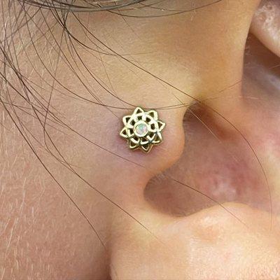 Tragus. Opals set in 14k gold